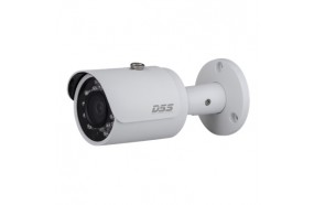 Camera IP DAHUA DS2300FIP