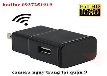 Camera ngụy trang tại quận 9, tp.hcm